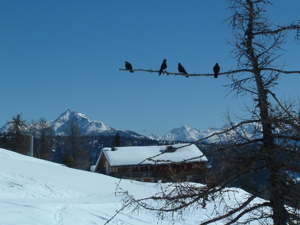 Mecki'S Dolomiten Panorama Stubn Debant ห้อง รูปภาพ